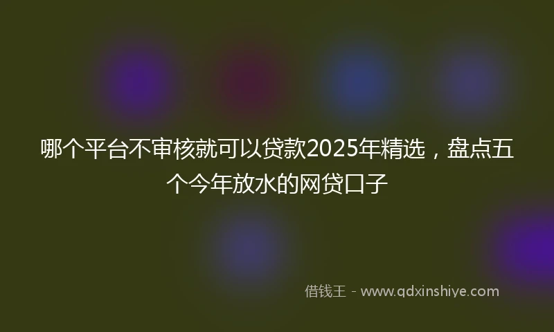 哪个平台不审核就可以贷款2025年精选，盘点五个今年放水的网贷口子