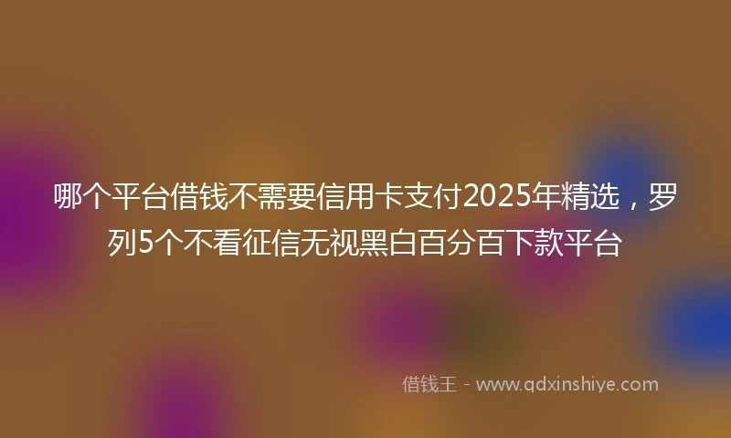 哪个平台借钱不需要信用卡支付2025年精选，罗列5个不看征信无视黑白百分百下款平台