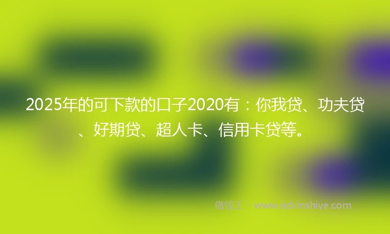 2025年的可下款的口子2020有：你我贷、功夫贷、好期贷、超人卡、信用卡贷等。