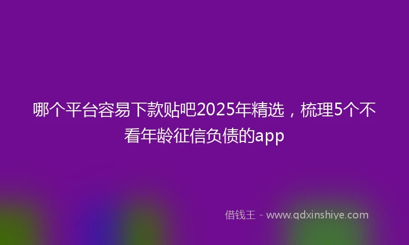哪个平台容易下款贴吧2025年精选，梳理5个不看年龄征信负债的app