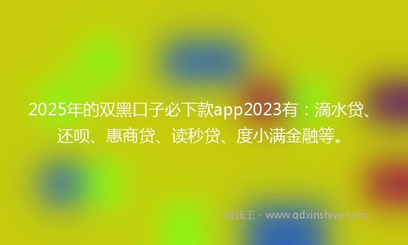 2025年的双黑口子必下款app2023有：滴水贷、还呗、惠商贷、读秒贷、度小满金融等。