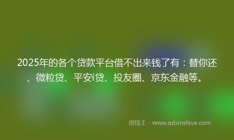 2025年的各个贷款平台借不出来钱了有：替你还、微粒贷、平安i贷、投友圈、京东金融等。