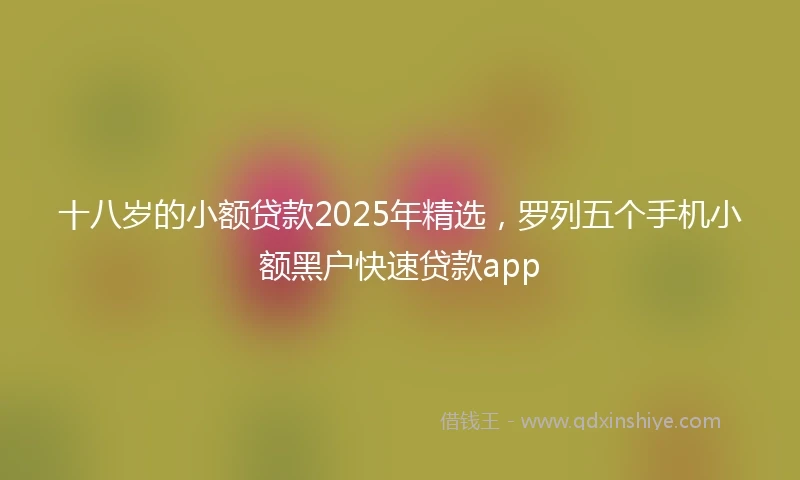 十八岁的小额贷款2025年精选，罗列五个手机小额黑户快速贷款app