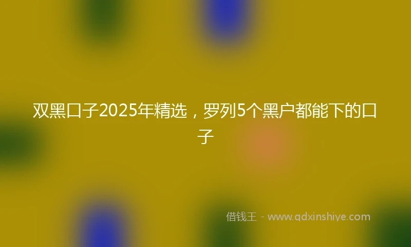 双黑口子2025年精选，罗列5个黑户都能下的口子