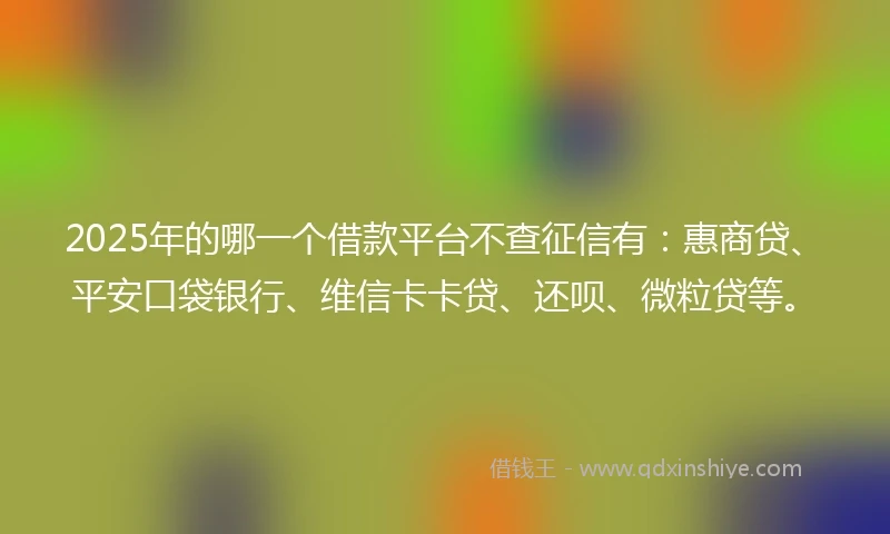 2025年的哪一个借款平台不查征信有：惠商贷、平安口袋银行、维信卡卡贷、还呗、微粒贷等。