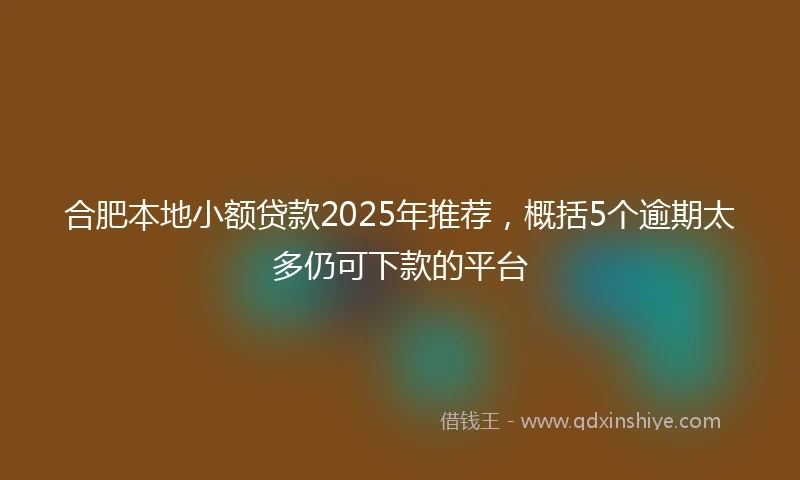 合肥本地小额贷款2025年推荐，概括5个逾期太多仍可下款的平台