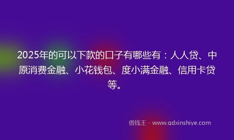 2025年的可以下款的口子有哪些有：人人贷、中原消费金融、小花钱包、度小满金融、信用卡贷等。