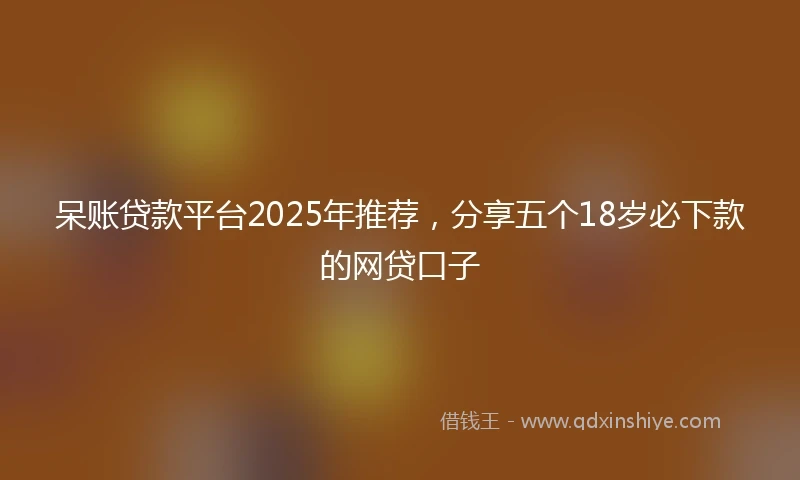 呆账贷款平台2025年推荐，分享五个18岁必下款的网贷口子