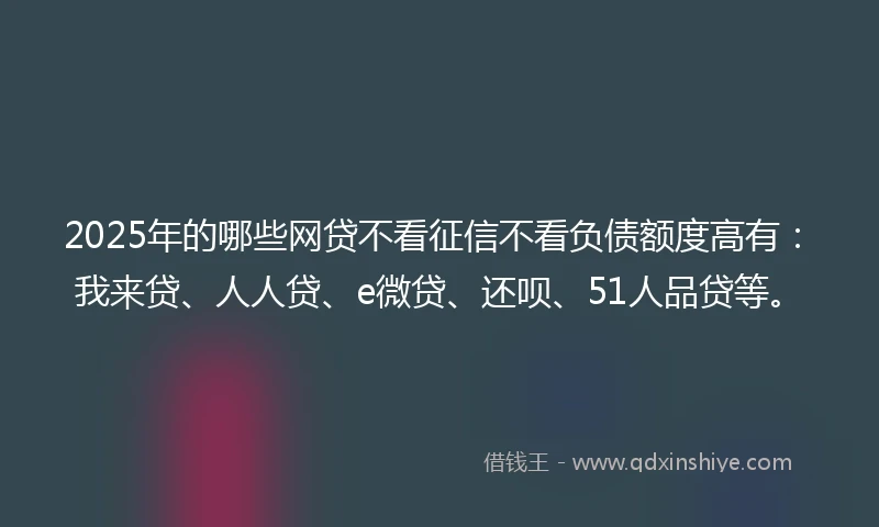 2025年的哪些网贷不看征信不看负债额度高有：我来贷、人人贷、e微贷、还呗、51人品贷等。