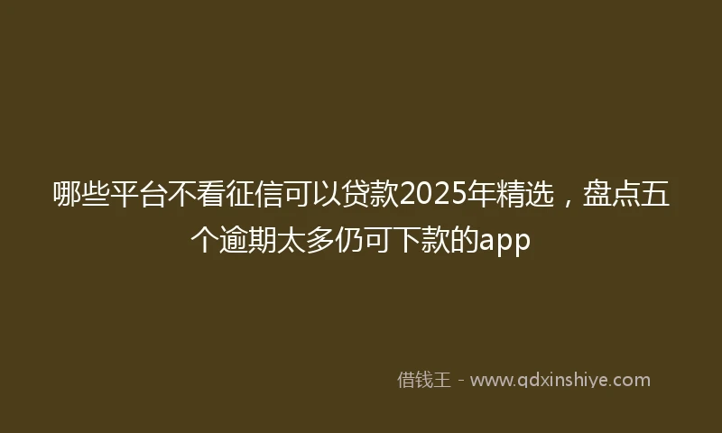 哪些平台不看征信可以贷款2025年精选，盘点五个逾期太多仍可下款的app