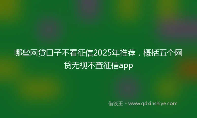 哪些网贷口子不看征信2025年推荐，概括五个网贷无视不查征信app