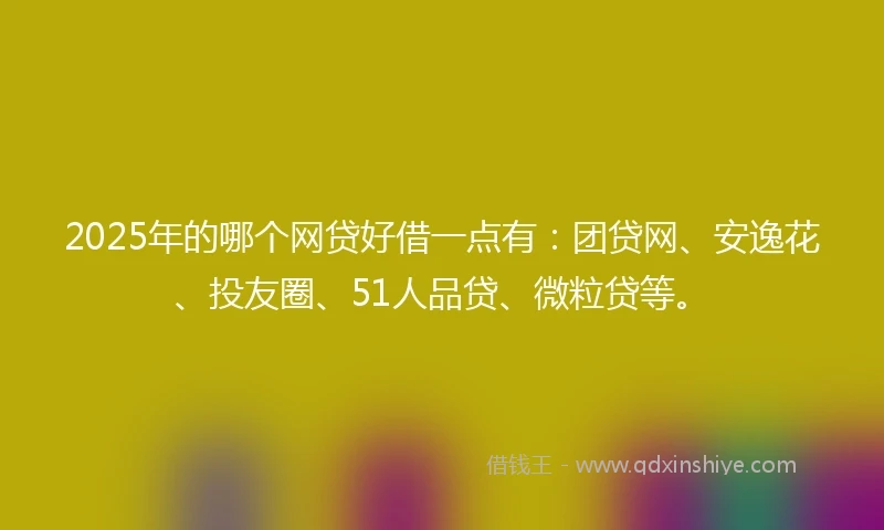 2025年的哪个网贷好借一点有：团贷网、安逸花、投友圈、51人品贷、微粒贷等。