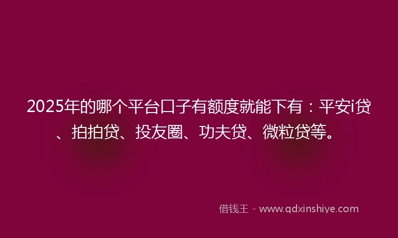 2025年的哪个平台口子有额度就能下有：平安i贷、拍拍贷、投友圈、功夫贷、微粒贷等。
