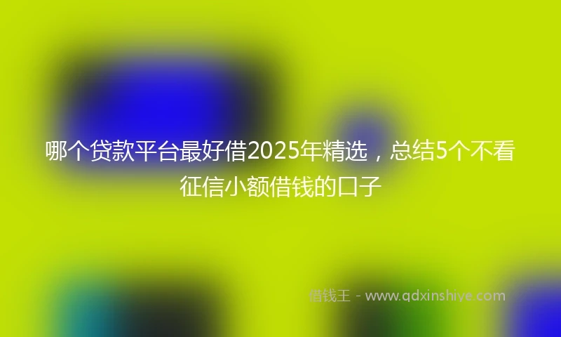哪个贷款平台最好借2025年精选，总结5个不看征信小额借钱的口子