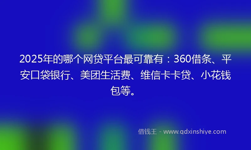 2025年的哪个网贷平台最可靠有：360借条、平安口袋银行、美团生活费、维信卡卡贷、小花钱包等。