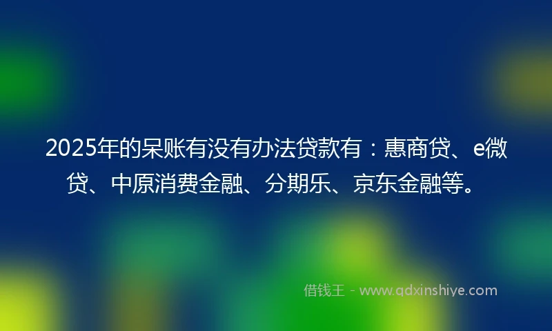 2025年的呆账有没有办法贷款有：惠商贷、e微贷、中原消费金融、分期乐、京东金融等。