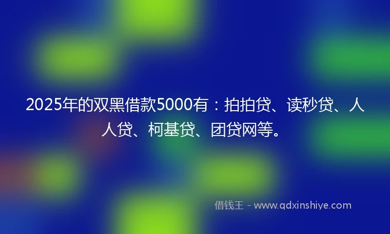2025年的双黑借款5000有：拍拍贷、读秒贷、人人贷、柯基贷、团贷网等。