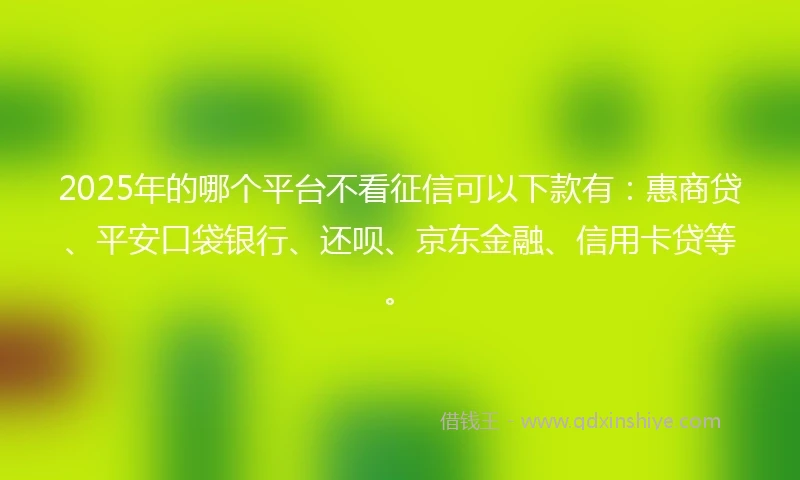 2025年的哪个平台不看征信可以下款有：惠商贷、平安口袋银行、还呗、京东金融、信用卡贷等。