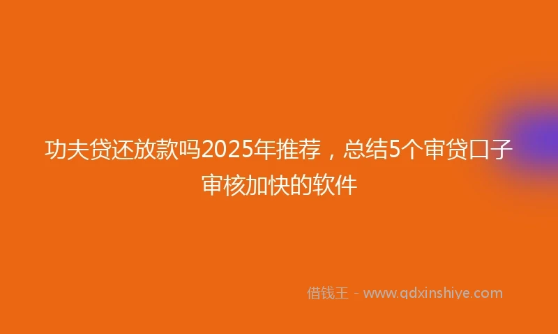 功夫贷还放款吗2025年推荐，总结5个审贷口子审核加快的软件