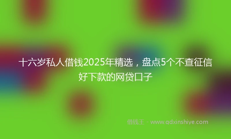 十六岁私人借钱2025年精选，盘点5个不查征信好下款的网贷口子