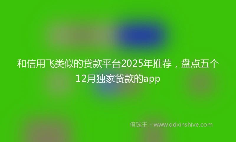 和信用飞类似的贷款平台2025年推荐，盘点五个12月独家贷款的app