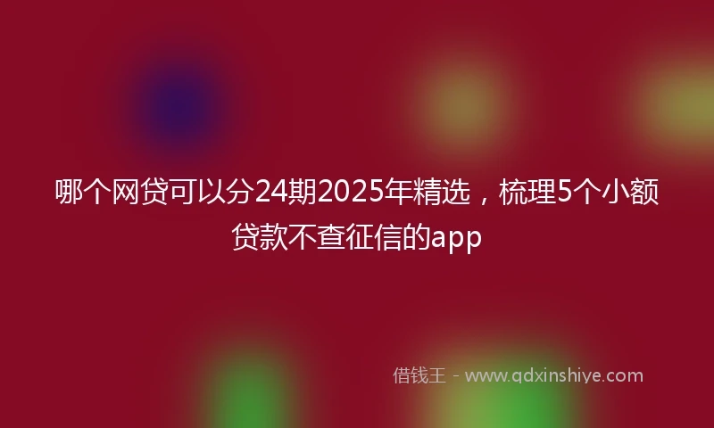 哪个网贷可以分24期2025年精选，梳理5个小额贷款不查征信的app