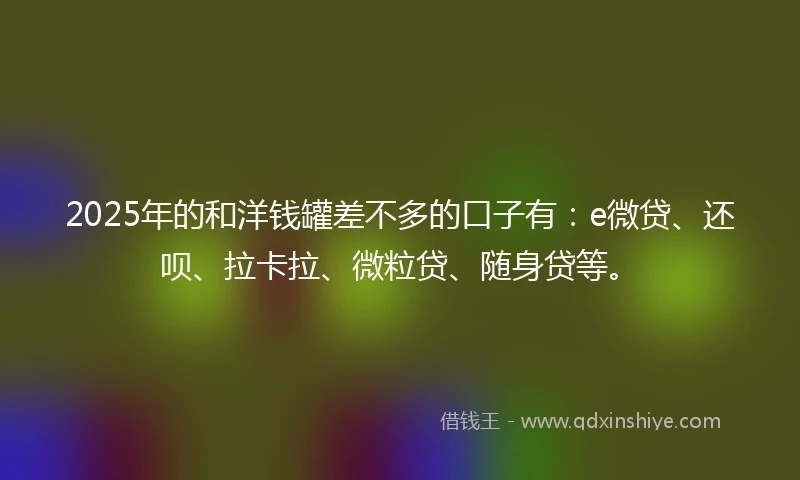 2025年的和洋钱罐差不多的口子有：e微贷、还呗、拉卡拉、微粒贷、随身贷等。
