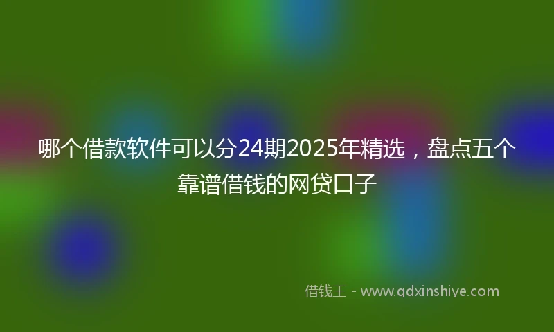 哪个借款软件可以分24期2025年精选，盘点五个靠谱借钱的网贷口子