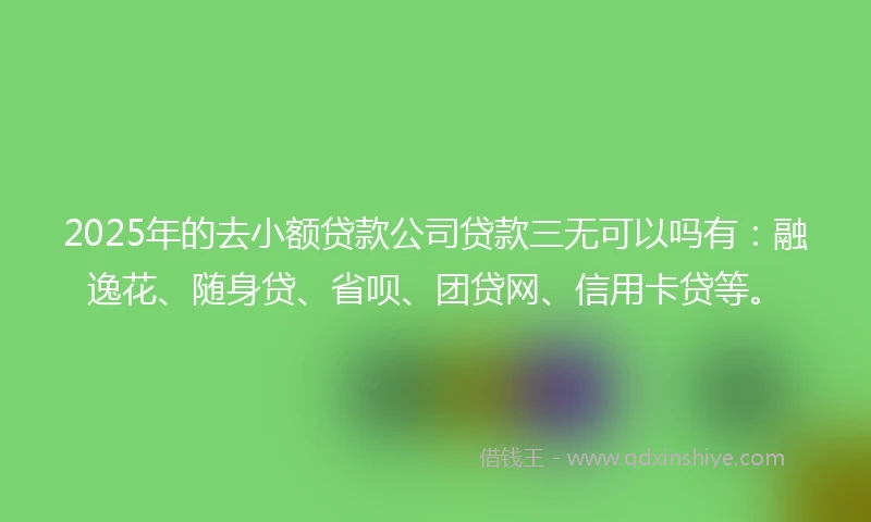 2025年的去小额贷款公司贷款三无可以吗有：融逸花、随身贷、省呗、团贷网、信用卡贷等。