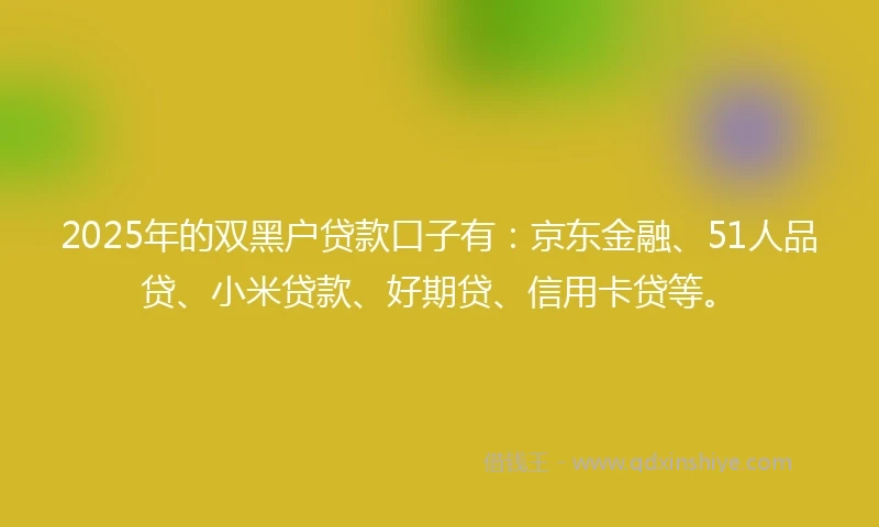 2025年的双黑户贷款口子有：京东金融、51人品贷、小米贷款、好期贷、信用卡贷等。