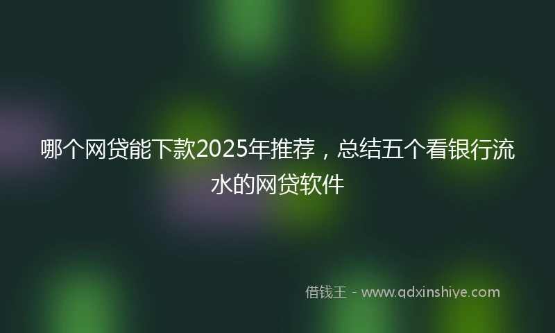 哪个网贷能下款2025年推荐，总结五个看银行流水的网贷软件