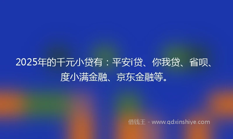 2025年的千元小贷有：平安i贷、你我贷、省呗、度小满金融、京东金融等。