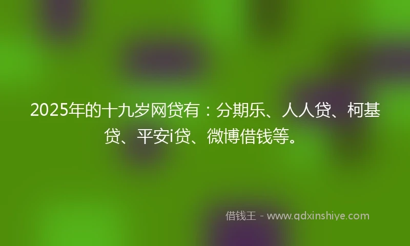 2025年的十九岁网贷有：分期乐、人人贷、柯基贷、平安i贷、微博借钱等。