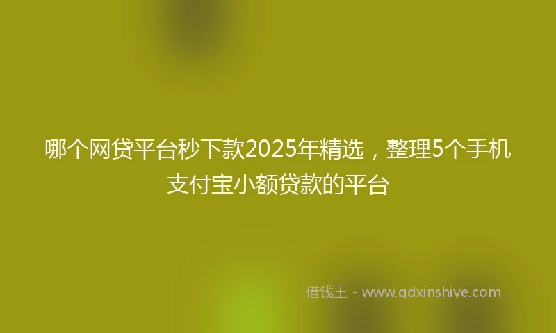 哪个网贷平台秒下款2025年精选，整理5个手机支付宝小额贷款的平台