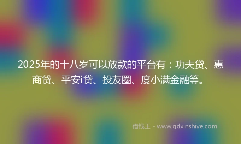 2025年的十八岁可以放款的平台有：功夫贷、惠商贷、平安i贷、投友圈、度小满金融等。