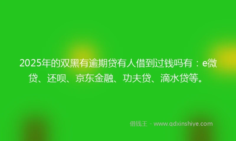 2025年的双黑有逾期贷有人借到过钱吗有：e微贷、还呗、京东金融、功夫贷、滴水贷等。