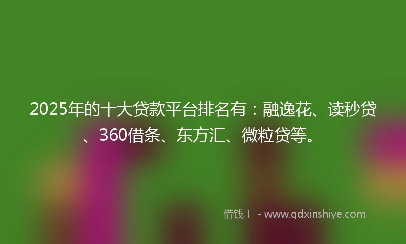 2025年的十大贷款平台排名有：融逸花、读秒贷、360借条、东方汇、微粒贷等。