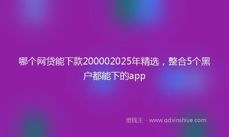 哪个网贷能下款200002025年精选，整合5个黑户都能下的app