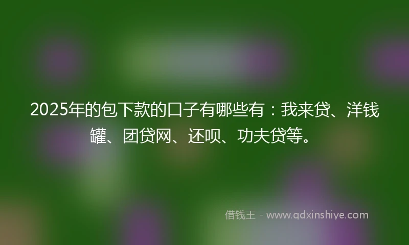 2025年的包下款的口子有哪些有：我来贷、洋钱罐、团贷网、还呗、功夫贷等。