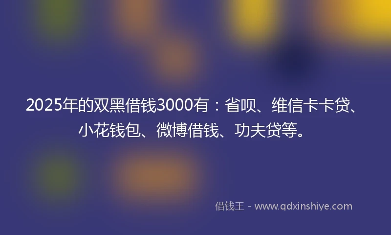 2025年的双黑借钱3000有：省呗、维信卡卡贷、小花钱包、微博借钱、功夫贷等。