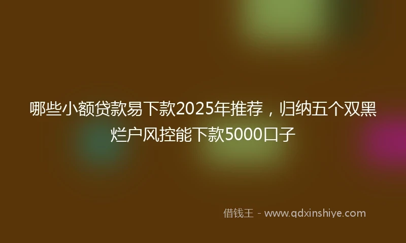 哪些小额贷款易下款2025年推荐,归纳五个双黑烂户风控能下款5000口子