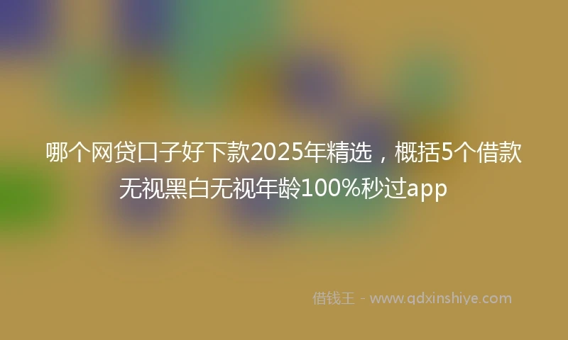 哪个网贷口子好下款2025年精选,概括5个借款无视黑白无视年龄100%秒过app