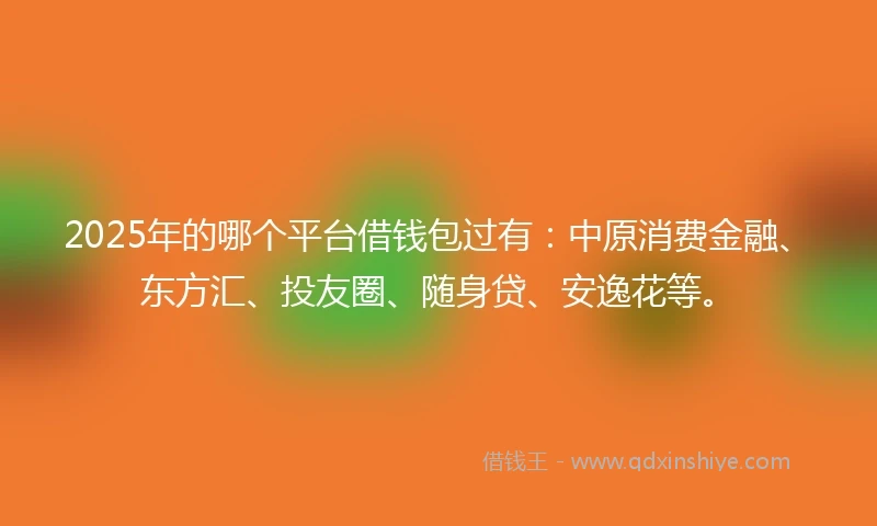 2025年的哪个平台借钱包过有：中原消费金融、东方汇、投友圈、随身贷、安逸花等。