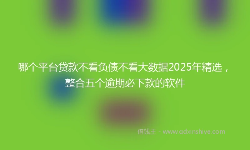 哪个平台贷款不看负债不看大数据2025年精选，整合五个逾期必下款的软件