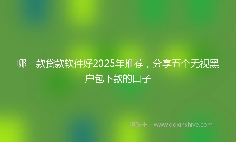 哪一款贷款软件好2025年推荐，分享五个无视黑户包下款的口子