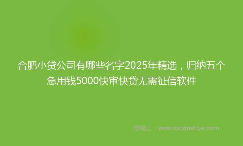 合肥小贷公司有哪些名字2025年精选，归纳五个急用钱5000快审快贷无需征信软件