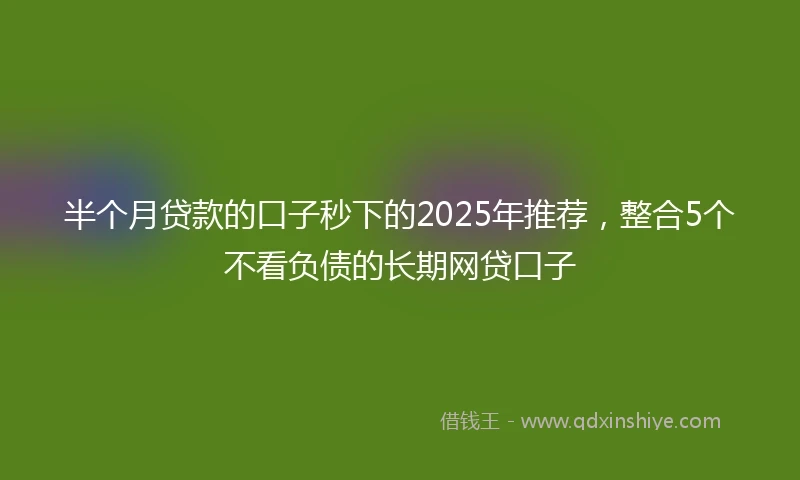 半个月贷款的口子秒下的2025年推荐，整合5个不看负债的长期网贷口子