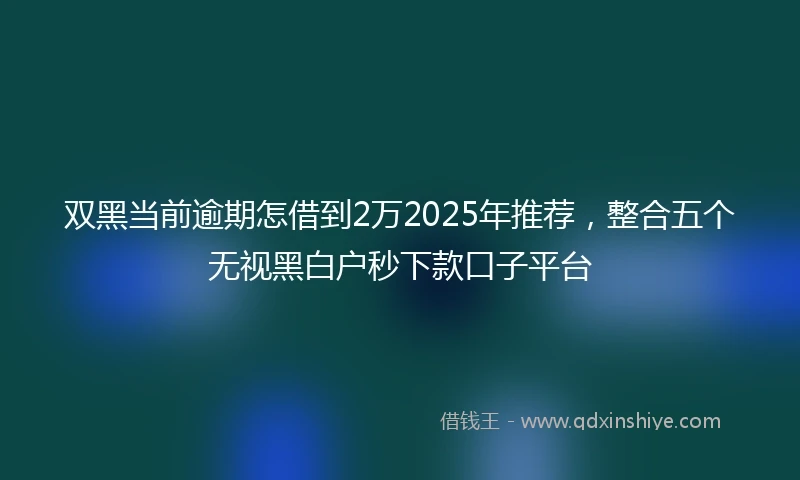 双黑当前逾期怎借到2万2025年推荐，整合五个无视黑白户秒下款口子平台