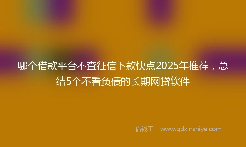 哪个借款平台不查征信下款快点2025年推荐，总结5个不看负债的长期网贷软件