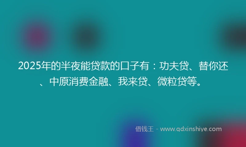 2025年的半夜能贷款的口子有：功夫贷、替你还、中原消费金融、我来贷、微粒贷等。